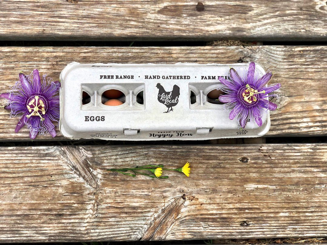Henlay Laid Local Egg Cartons- Adorable Printed Vintage Design- 25, 90, or 250 - Tampa Home & Garden Store