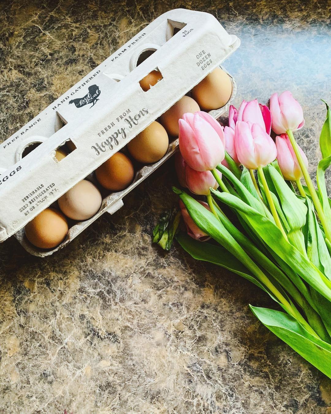 Henlay Laid Local Egg Cartons- Adorable Printed Vintage Design- 25, 90, or 250 - Tampa Home & Garden Store