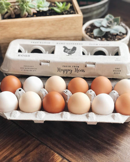 Henlay Laid Local Egg Cartons- Adorable Printed Vintage Design- 25, 90, or 250 - Tampa Home & Garden Store