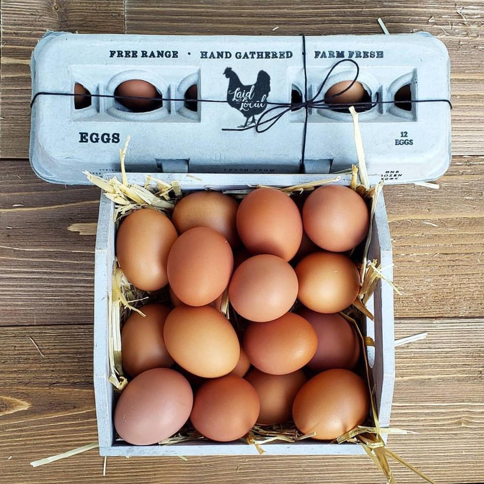 Henlay Laid Local Egg Cartons- Adorable Printed Vintage Design- 25, 90, or 250 - Tampa Home & Garden Store
