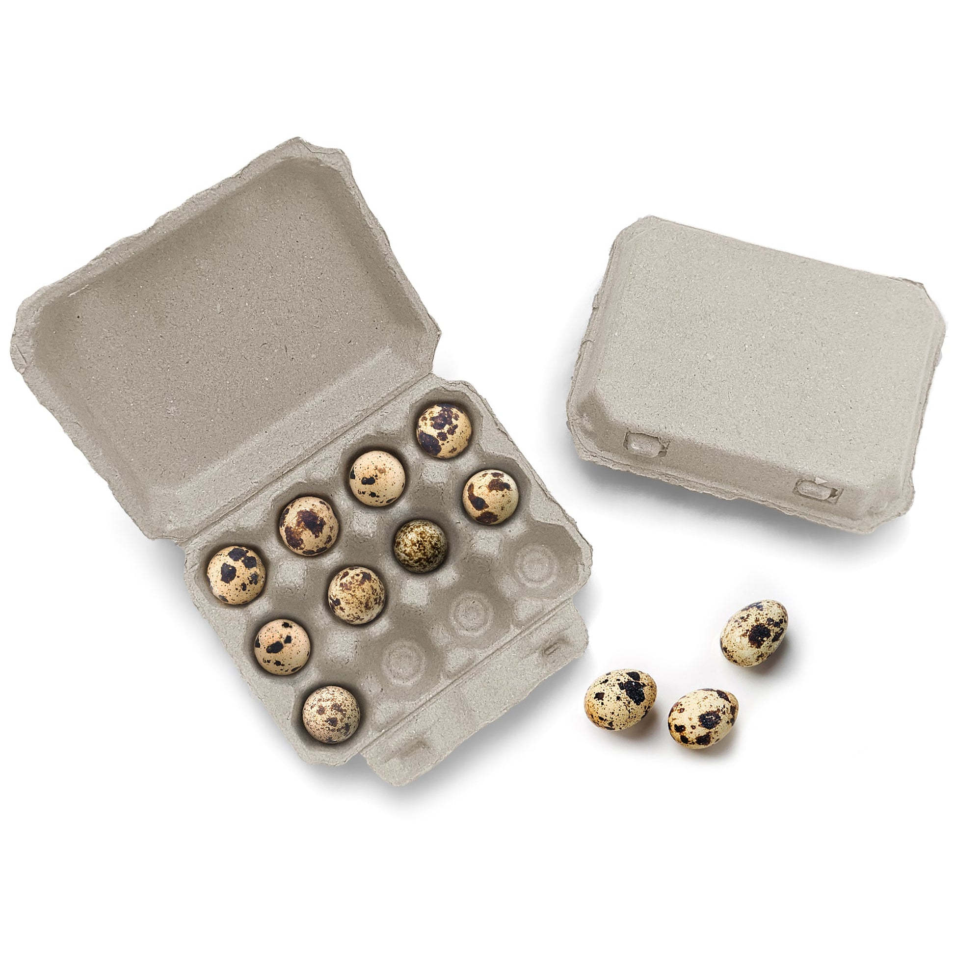 Henlay Quail 12-Egg Carton, 3x4 design, Qty 30, 144 - Tampa Home & Garden Store