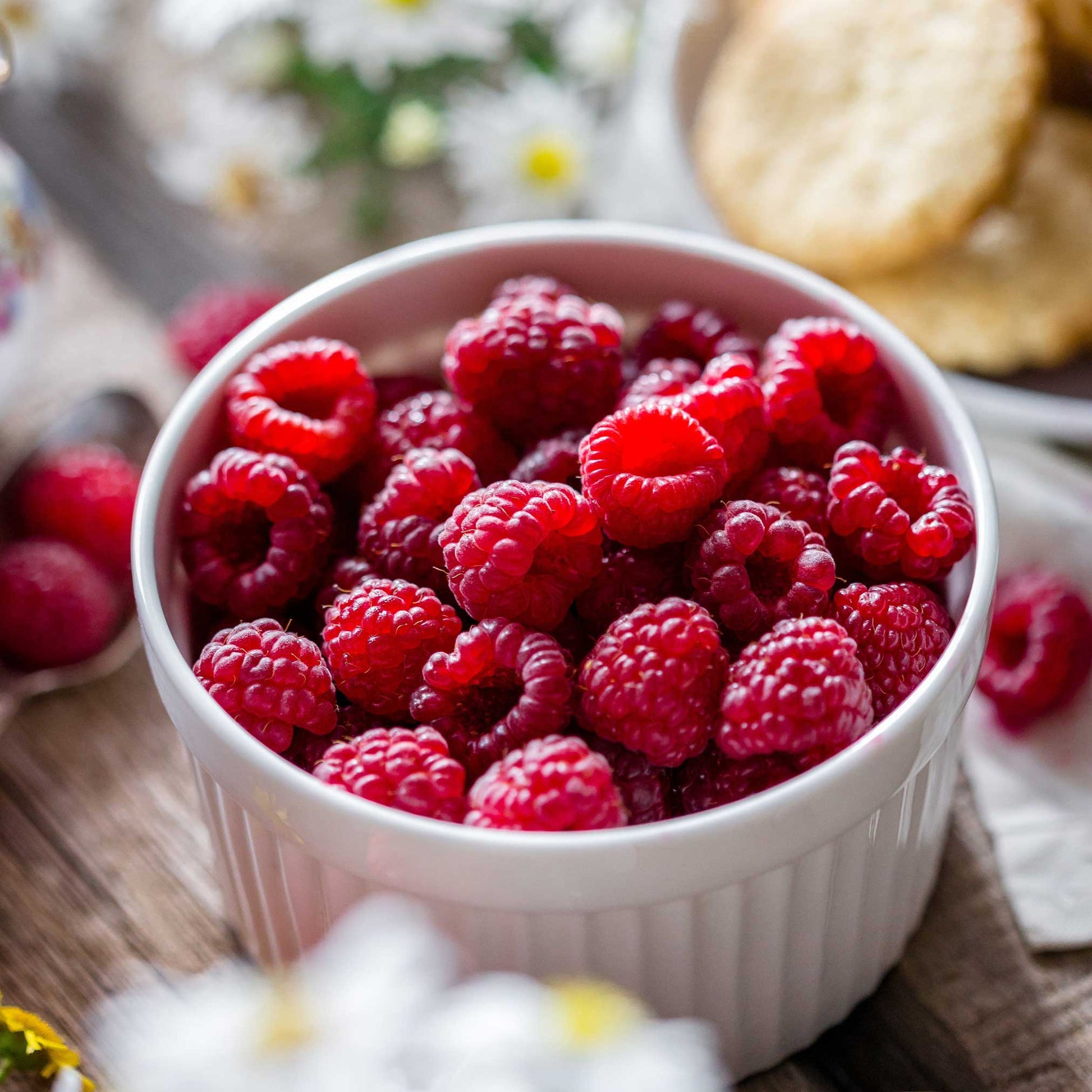 Heritage Raspberry berries in a white bowl, vibrant red close-up on Tampa Home & Garden Store
