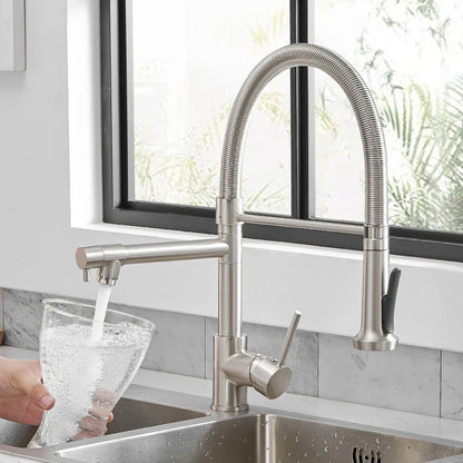DecorBites stainless steel kitchen mixer tap with gooseneck spray and dual spouts on Tampa Home & Garden Store