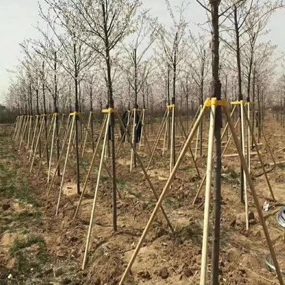 Tree Support Stakes and Flexible Plant Ties