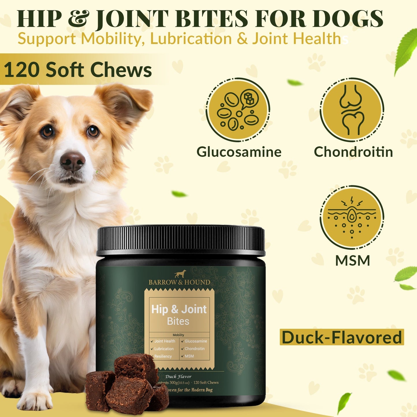 Hip & Joint Supplement for Dogs – Mobility Support for All Breeds - Tampa Home & Garden Store