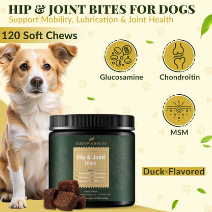 Hip & Joint Supplement for Dogs – Mobility Support for All Breeds - Tampa Home & Garden Store