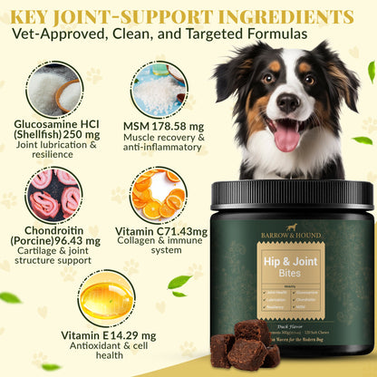 Hip & Joint Supplement for Dogs – Mobility Support for All Breeds - Tampa Home & Garden Store