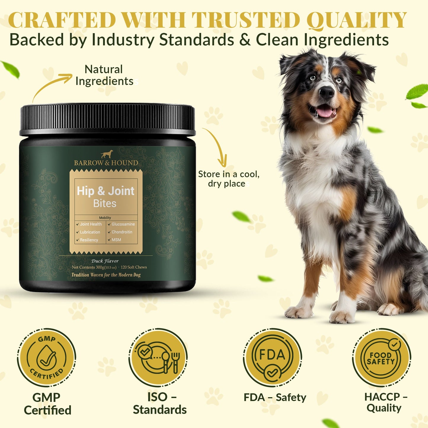 Hip & Joint Supplement for Dogs – Mobility Support for All Breeds - Tampa Home & Garden Store
