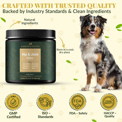 Hip & Joint Supplement for Dogs – Mobility Support for All Breeds - Tampa Home & Garden Store