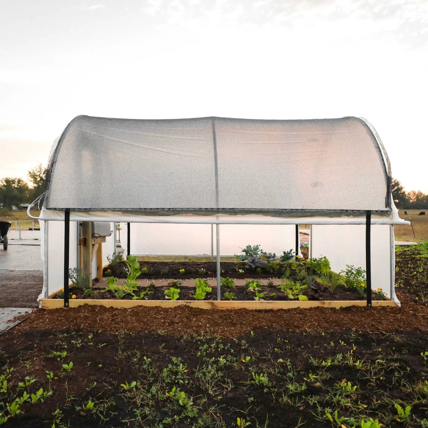 Hobby Greenhouse Kit - Tampa Home & Garden Store
