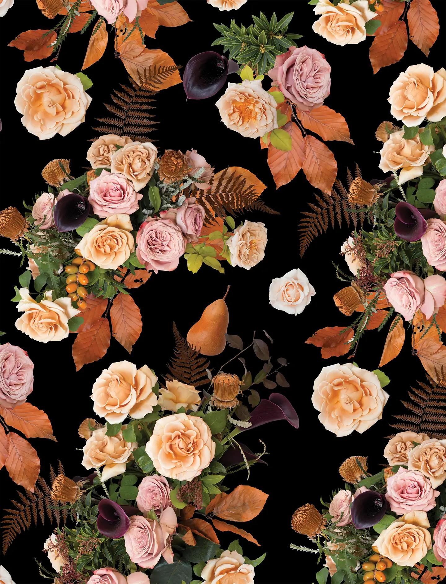 Honey & Poppies Wallpaper, black - Tampa Home & Garden Store