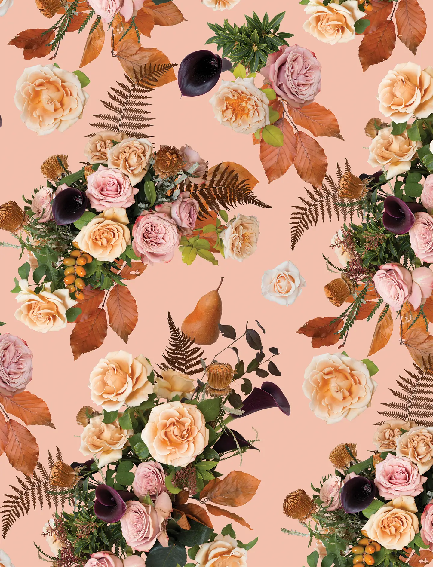 Honey & Poppies Wallpaper, blush - Tampa Home & Garden Store
