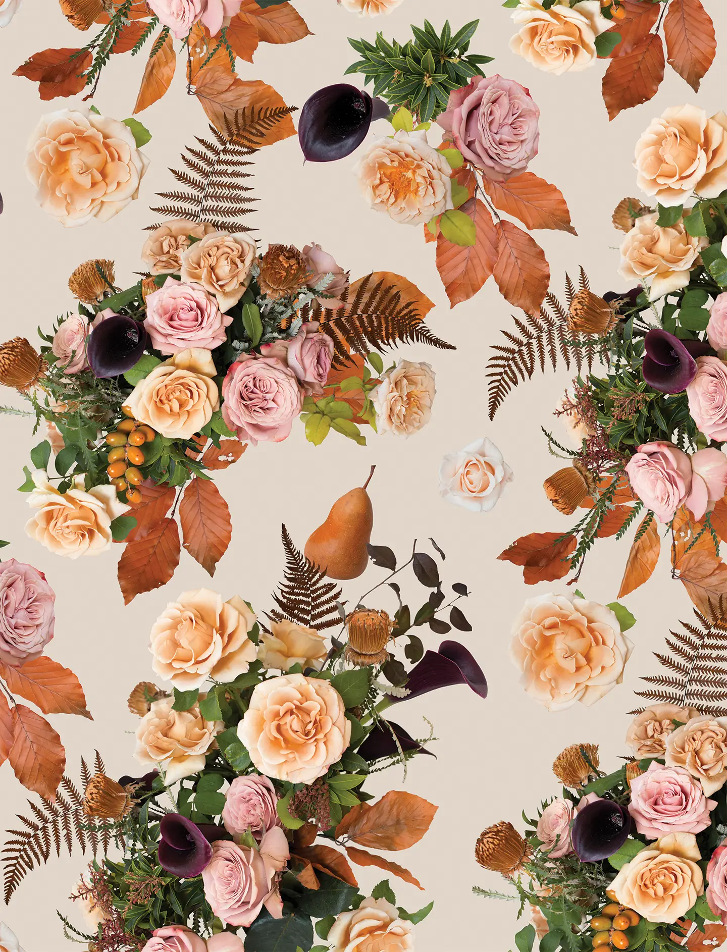 Honey & Poppies Wallpaper, off-white - Tampa Home & Garden Store
