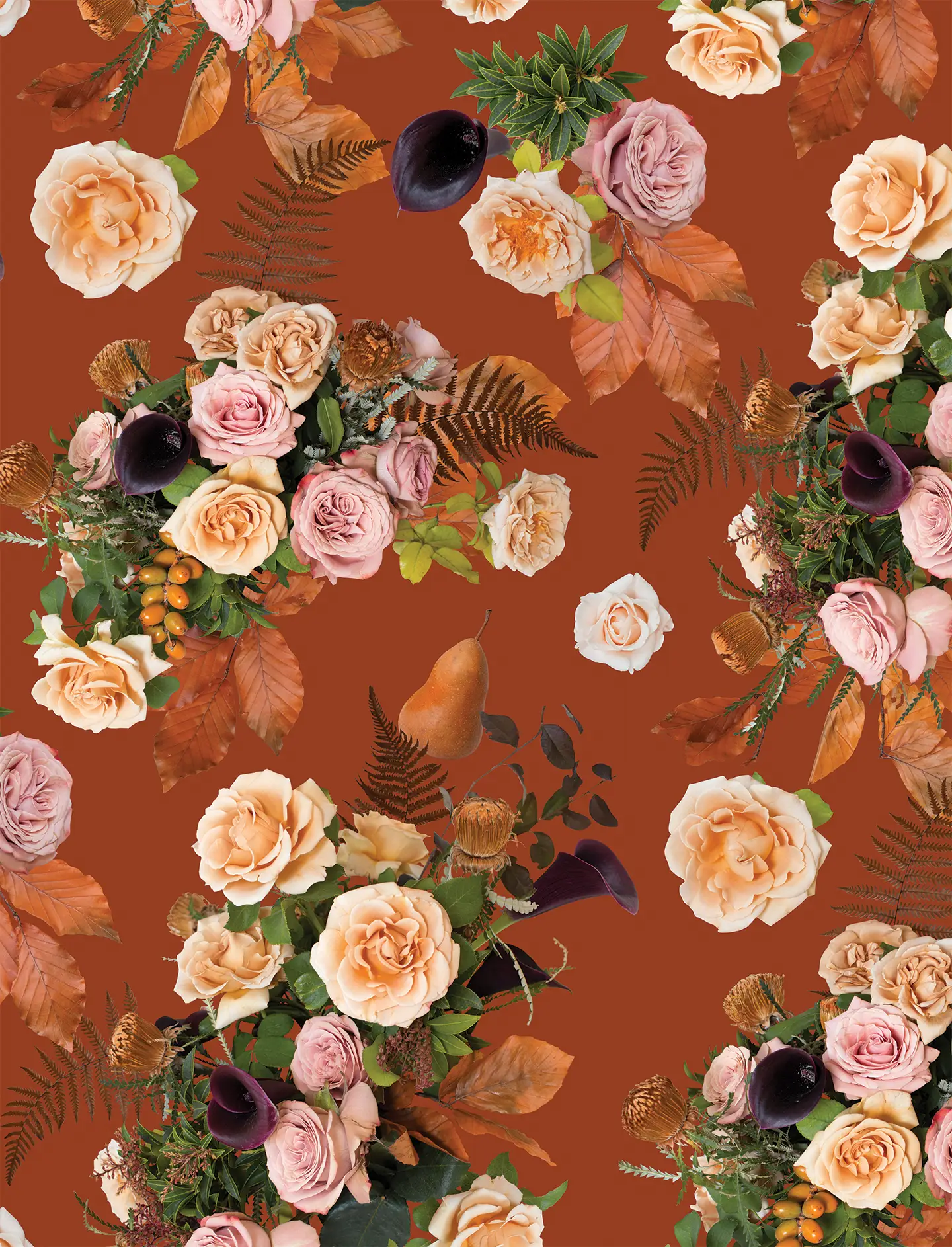 Honey & Poppies Wallpaper, rust - Tampa Home & Garden Store
