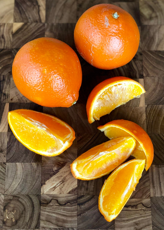 Honeybell Orange Tree (Citrus reticulata x C. paradise) - Tampa Home & Garden Store