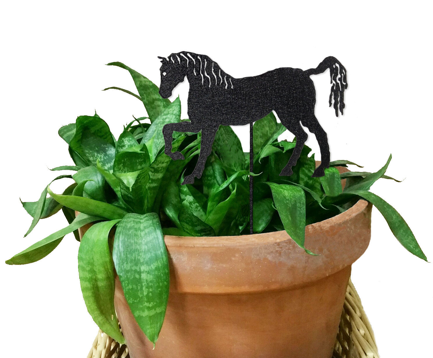 Horse plant stake black glitter silhouette mounted on a slender stake in a green potted plant on Tampa Home & Garden Store