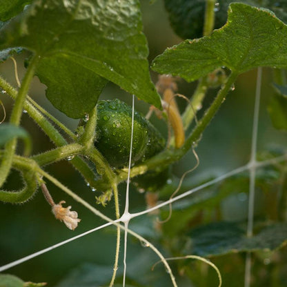 Hortonova Garden Trellis (4' x 3280' Roll) - Tampa Home & Garden Store