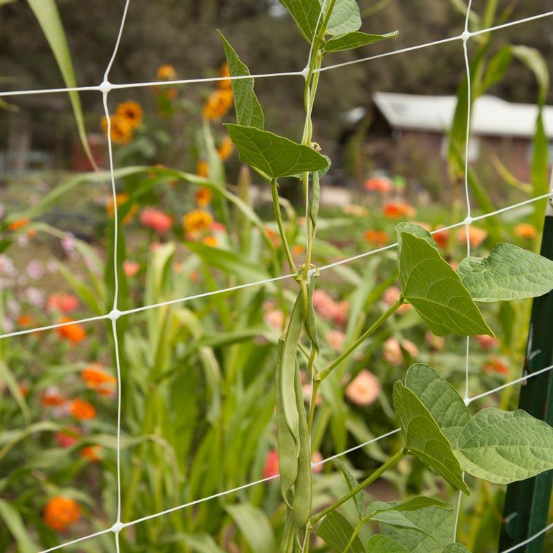 Hortonova Garden Trellis (4' x 50') - Tampa Home & Garden Store