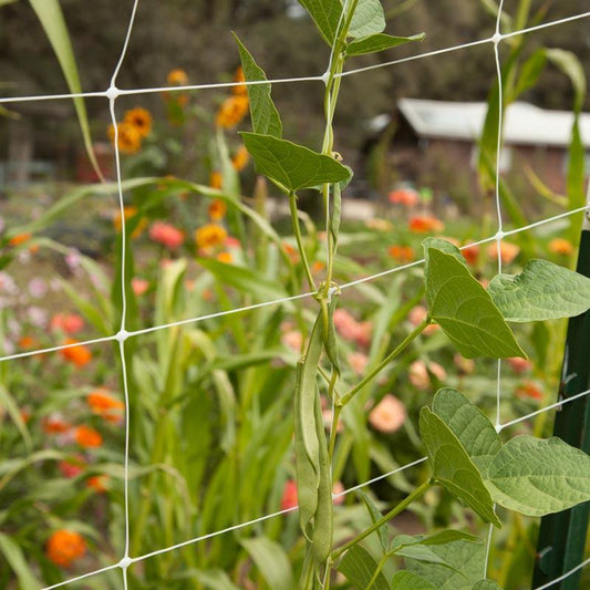Hortonova Garden Trellis (6 1/2' x 50') - Tampa Home & Garden Store