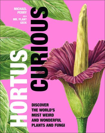 Hortus Curious - Tampa Home & Garden Store