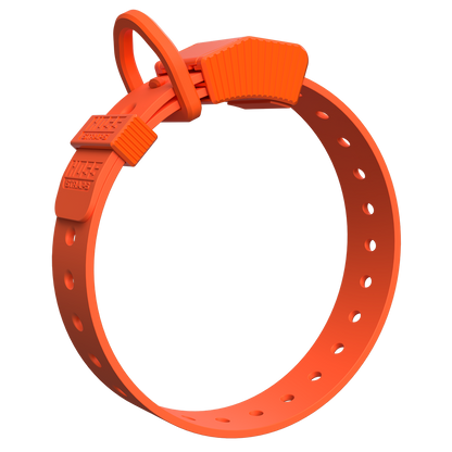 FIELD COLLAR orange Hoss Straps hunting dog collar with embossed buckle on Tampa Home & Garden Store