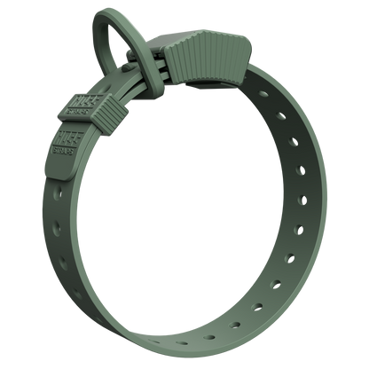 FIELD COLLAR by Hoss Straps, green adjustable dog collar with logo buckle on Tampa on Tampa Home & Garden Store