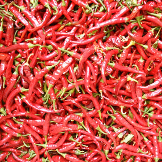 Hot Cayenne Slim Pepper Seeds (Organic) - Tampa Home & Garden Store