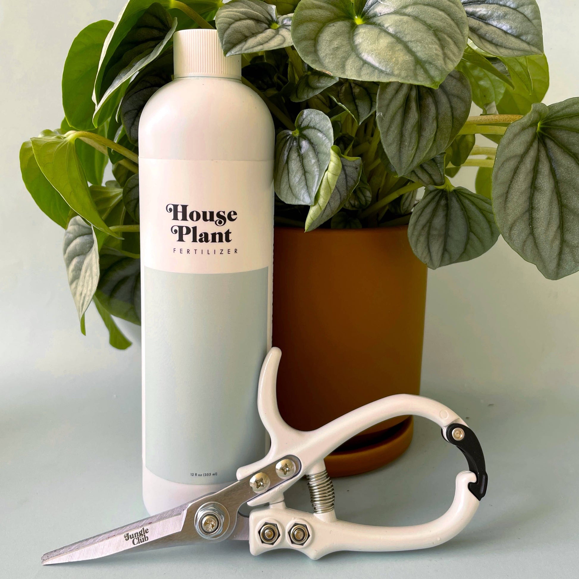 House Plant Fertilizer - Tampa Home & Garden Store