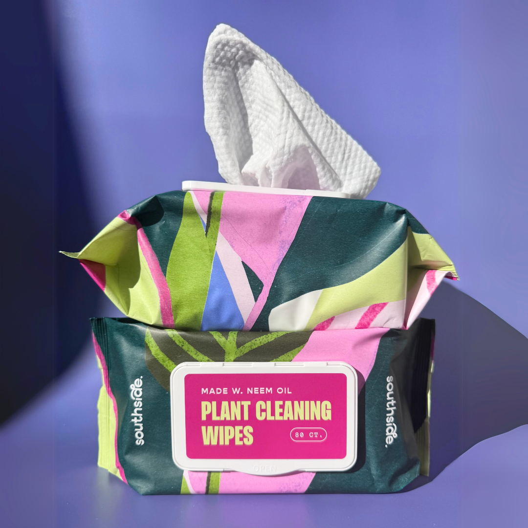 Houseplant Cleaning Wipes - Tampa Home & Garden Store