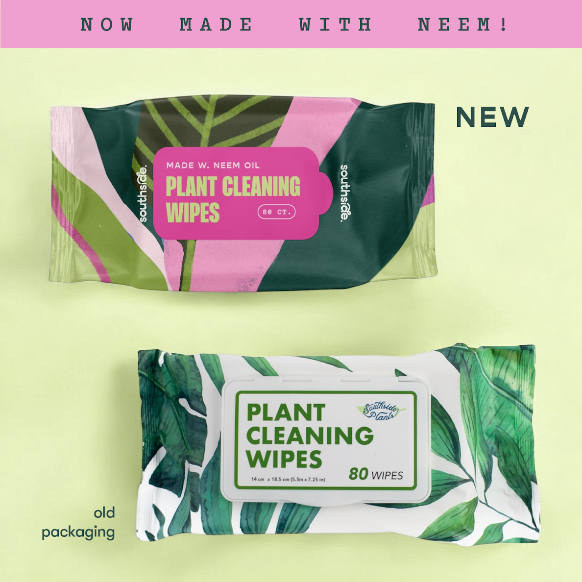 Houseplant Cleaning Wipes - Tampa Home & Garden Store