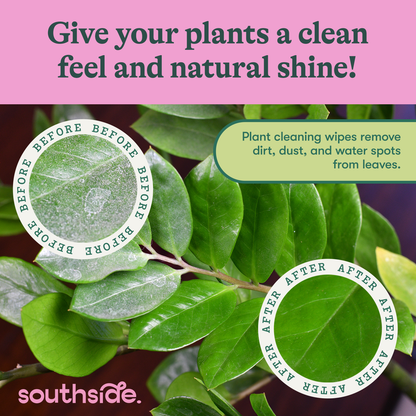 Houseplant Cleaning Wipes - Tampa Home & Garden Store