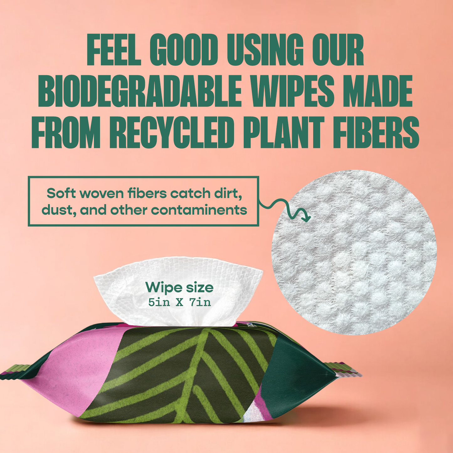 Houseplant Cleaning Wipes - Tampa Home & Garden Store