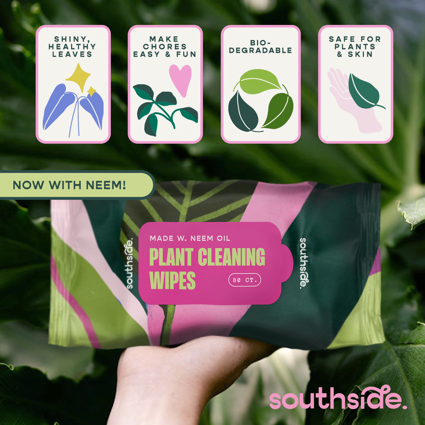 Houseplant Cleaning Wipes - Tampa Home & Garden Store