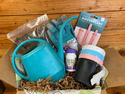 Houseplant Starter Box Growing Kit - Tampa Home & Garden Store