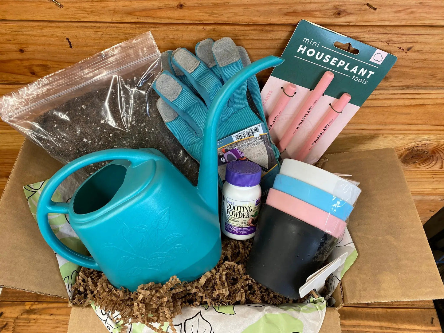 Houseplant Starter Box Growing Kit - Tampa Home & Garden Store