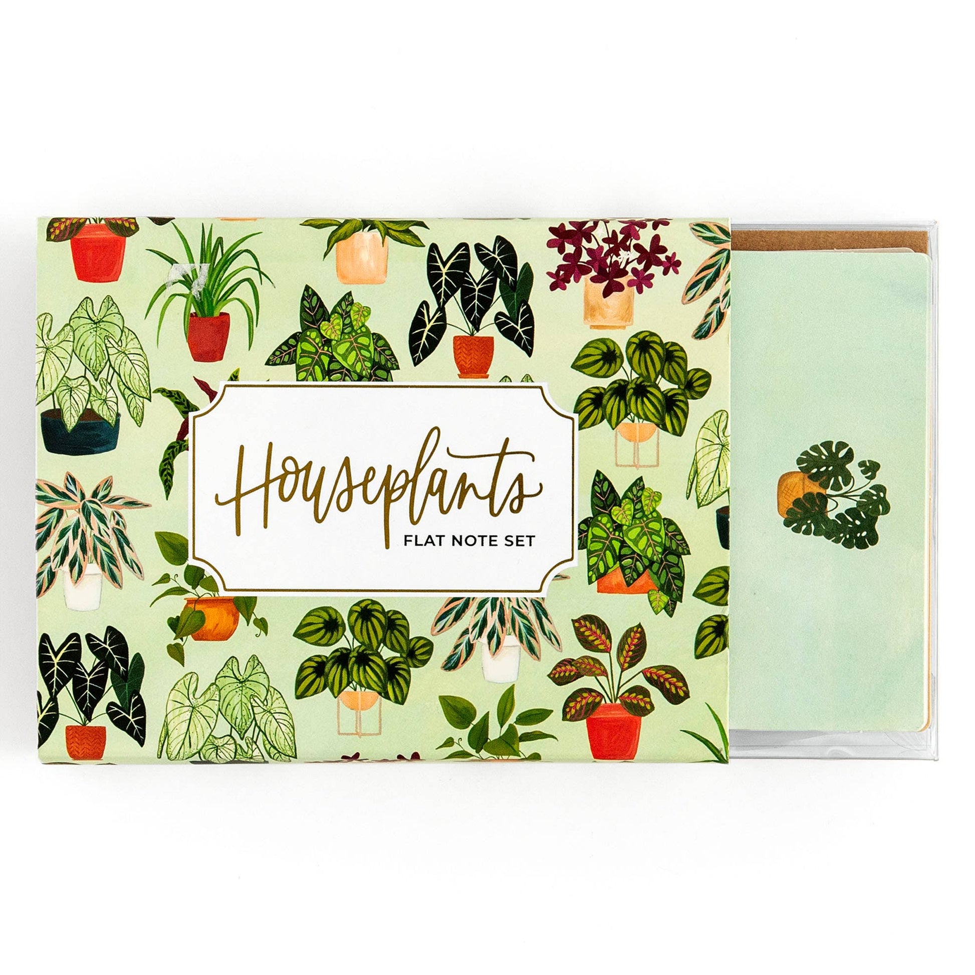 Houseplants Flat Note Set - Tampa Home & Garden Store