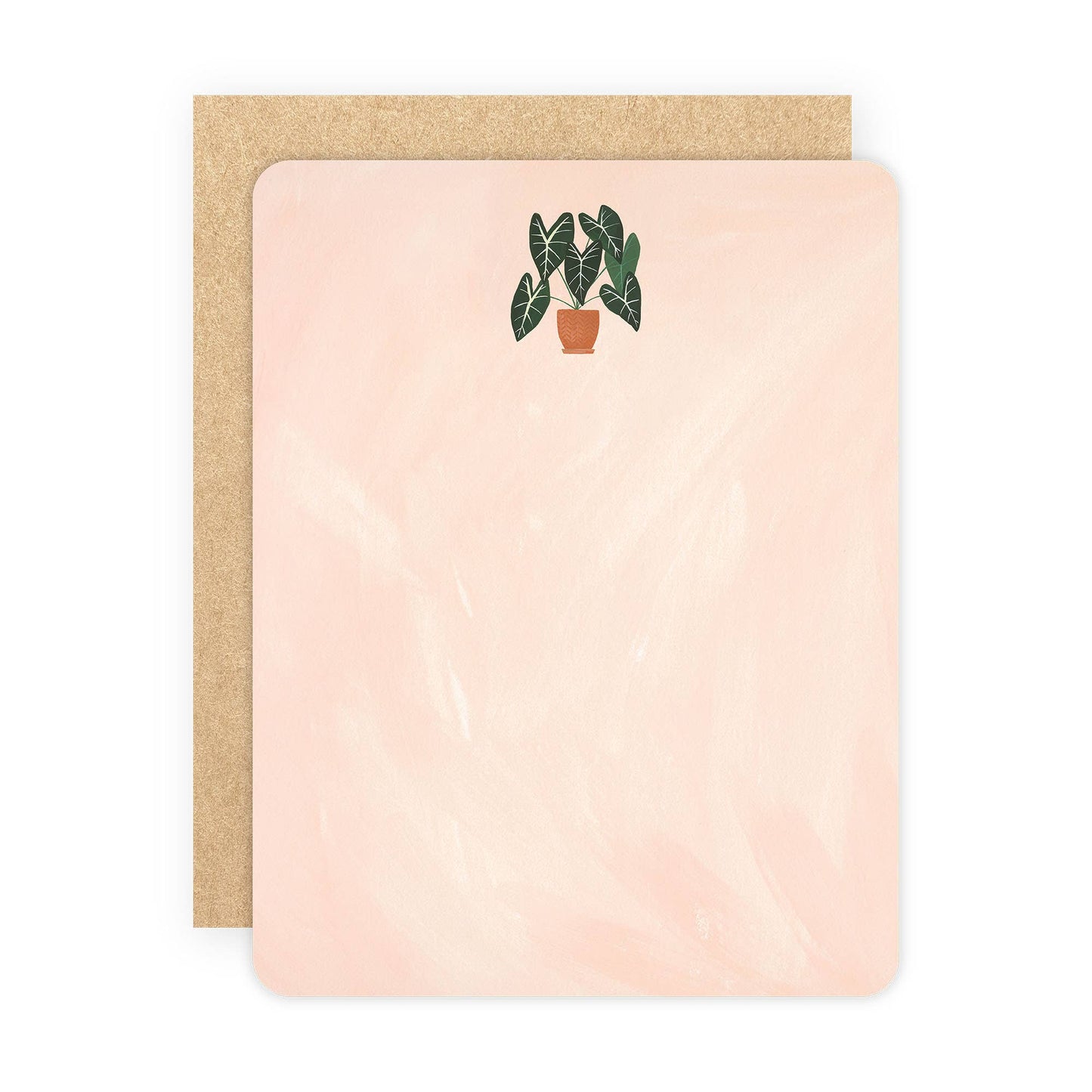 Houseplants Flat Note Set - Tampa Home & Garden Store