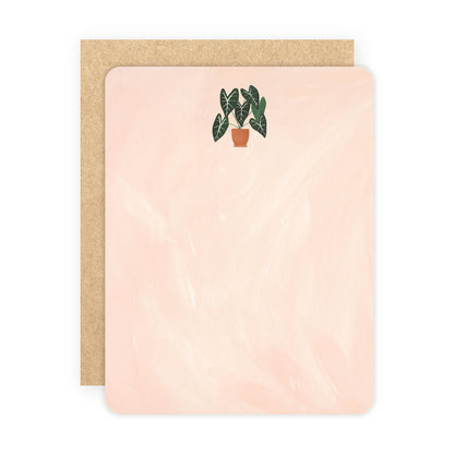 Houseplants Flat Note Set - Tampa Home & Garden Store