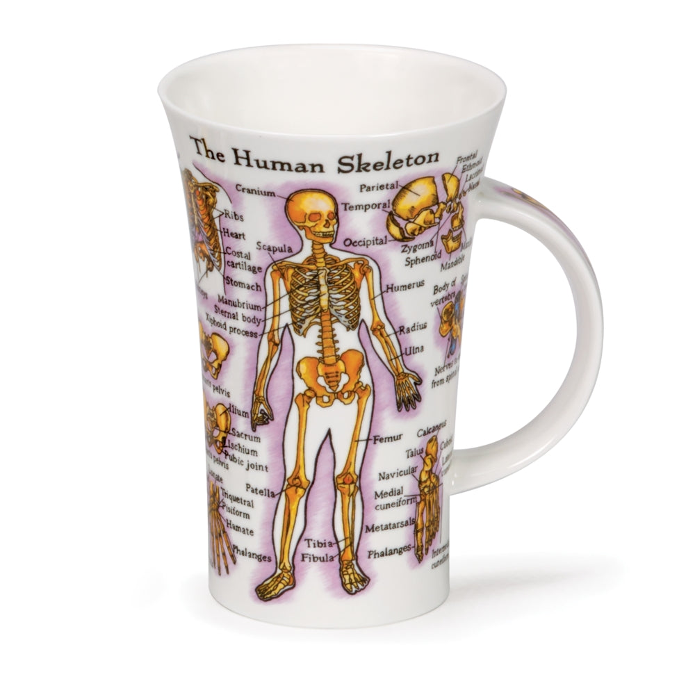 Human Body  Fine Bone China Mug Glencoe Style By Dunoon - Tampa Home & Garden Store