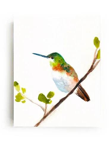 Lámina de colibrí – Arte de pared de naturaleza de archivo