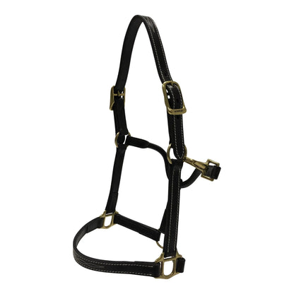 Huntley Equestrian Fancy Stitched Adjustable Premium Leather Pony Halter with Brass Hardware - Tampa Home & Garden Store
