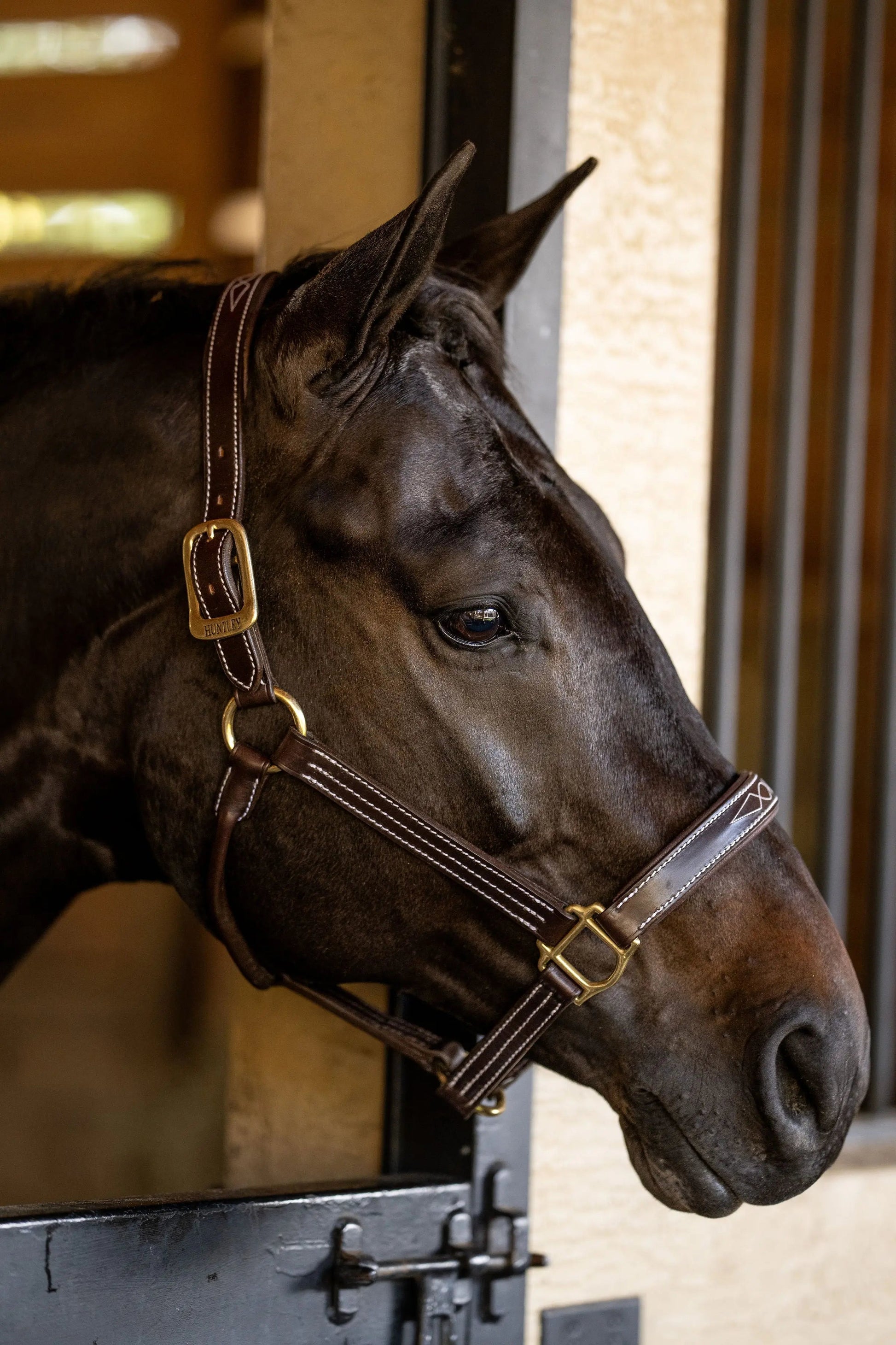 Huntley Equestrian Fancy Stitched Premium Leather Padded Halter - Tampa Home & Garden Store