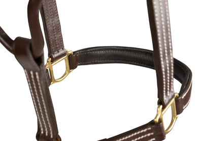 Huntley Equestrian Fancy Stitched Premium Leather Padded Halter - Tampa Home & Garden Store