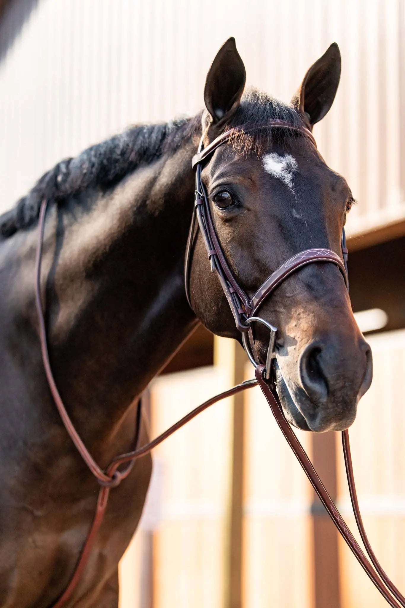 Huntley Equestrian Fancy Stitched Schooling Hunter Bridle with Reins - Tampa Home & Garden Store