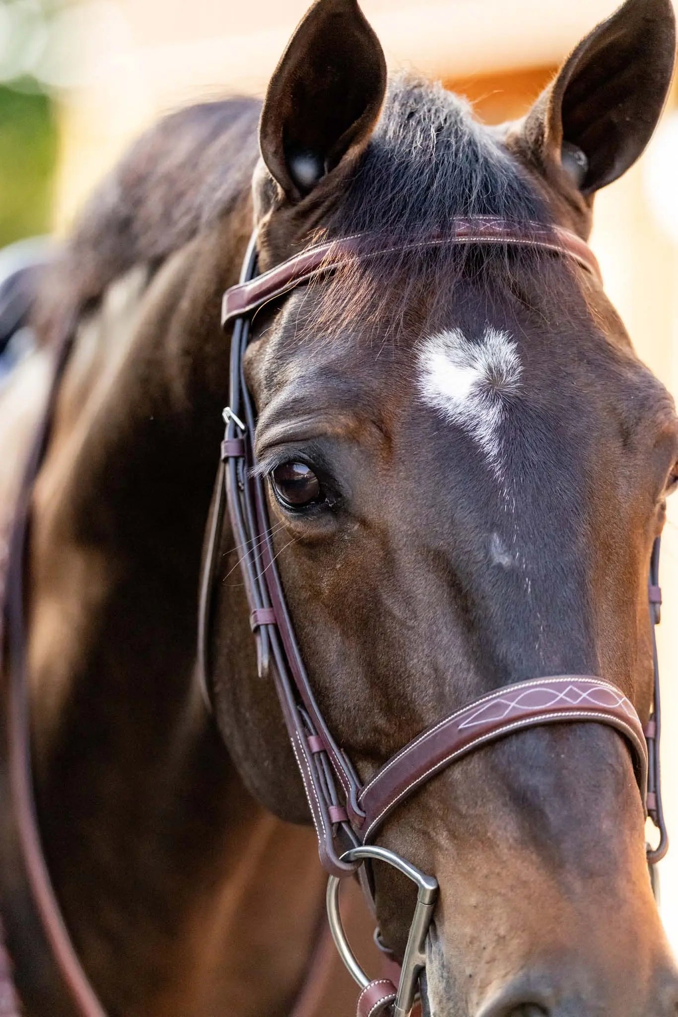 Huntley Equestrian Fancy Stitched Schooling Hunter Bridle with Reins - Tampa Home & Garden Store