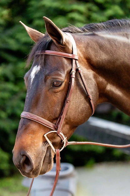 Huntley Equestrian Fancy Stitched Schooling Hunter Bridle with Reins - Tampa Home & Garden Store