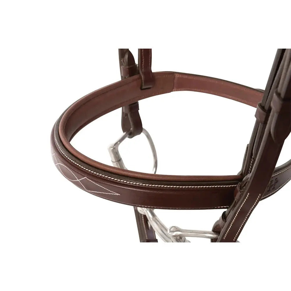 Huntley Equestrian Fancy Stitched Sedgwick Leather Padded Bridle with Reins - Tampa Home & Garden Store