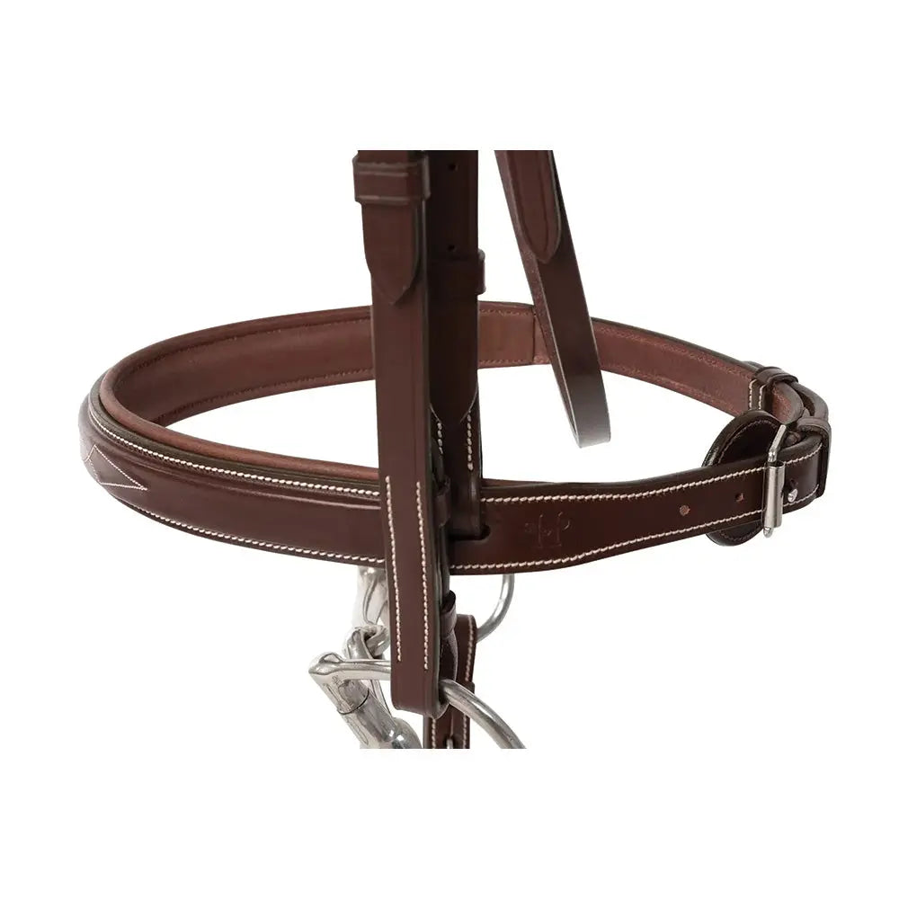 Huntley Equestrian Fancy Stitched Sedgwick Leather Padded Bridle with Reins - Tampa Home & Garden Store