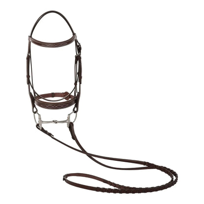 Huntley Equestrian Fancy Stitched Sedgwick Leather Padded Bridle with Reins - Tampa Home & Garden Store