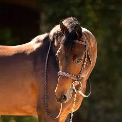 Huntley Equestrian Fancy Stitched Sedgwick Leather Padded Bridle with Reins - Tampa Home & Garden Store